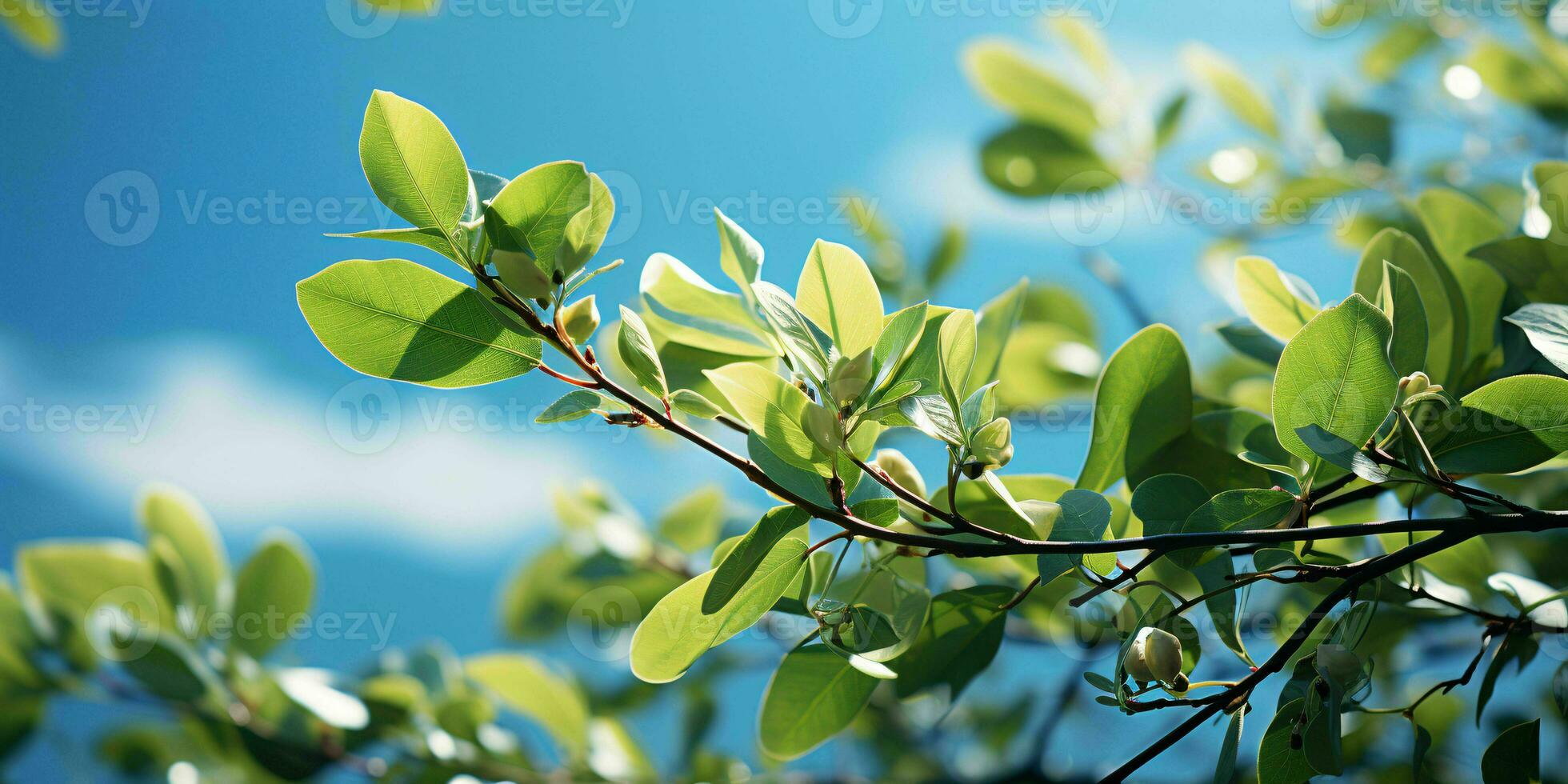 AI generated Fresh Green Leaves with Cloudy Blue Sky View. Generative AI photo