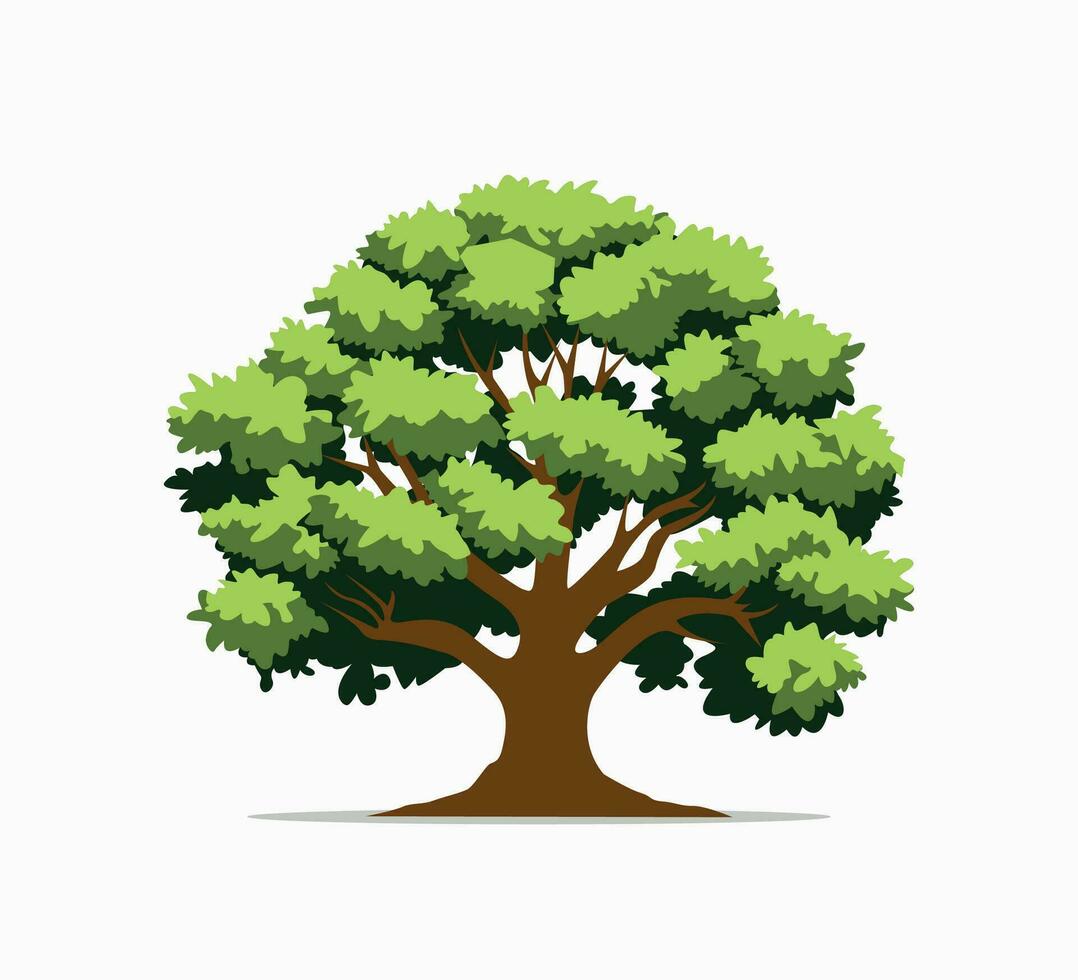 oak tree flat illustration vector