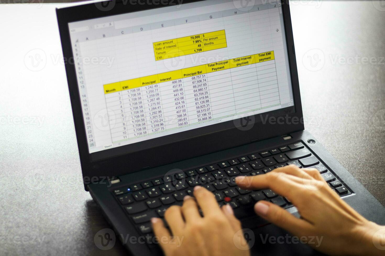 Shot of a woman working on the laptop showing an excel sheet on the screen with bank loan amortization table. Accounting photo