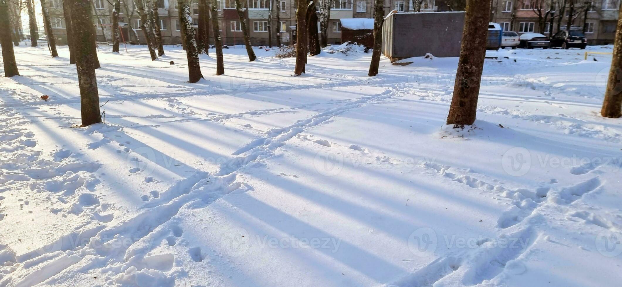 paisaje Disparo de el calle en el invierno día. temporada foto