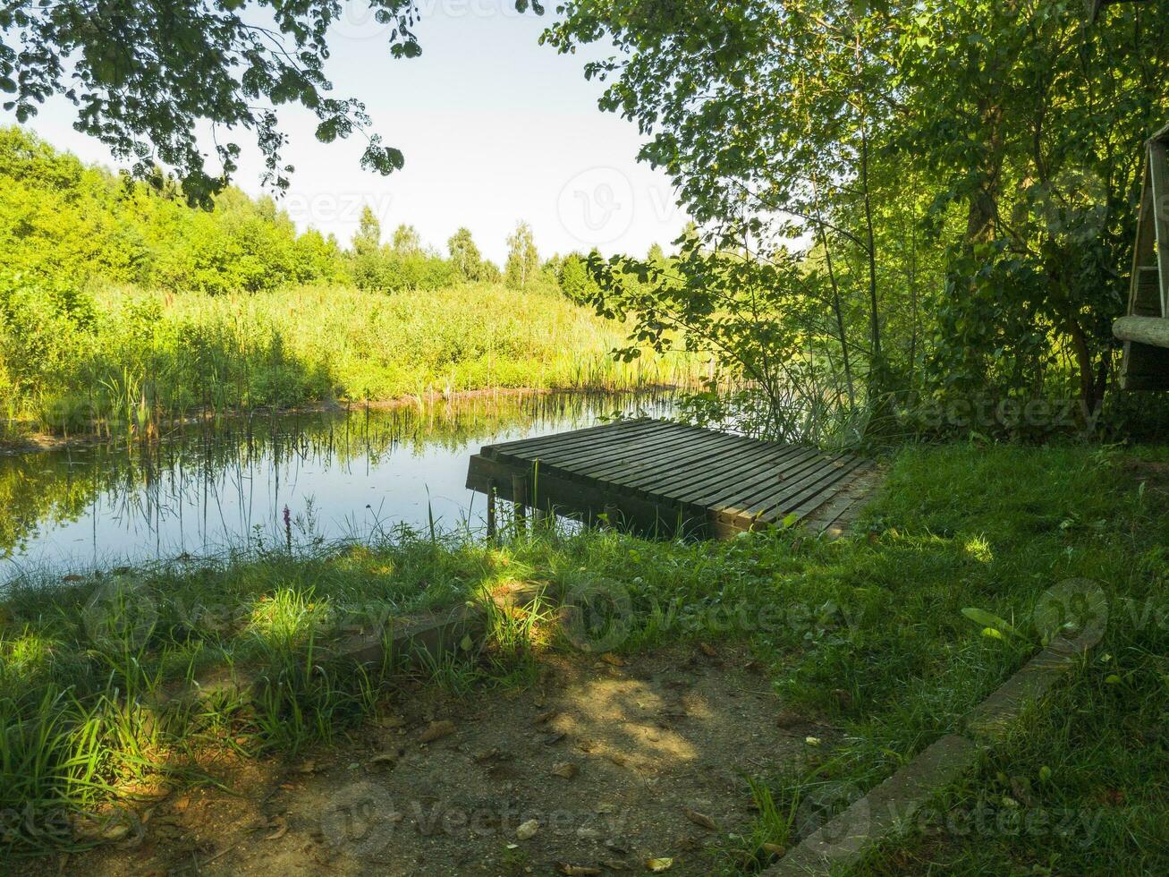 Landscape shot of the pond. Outdoors photo