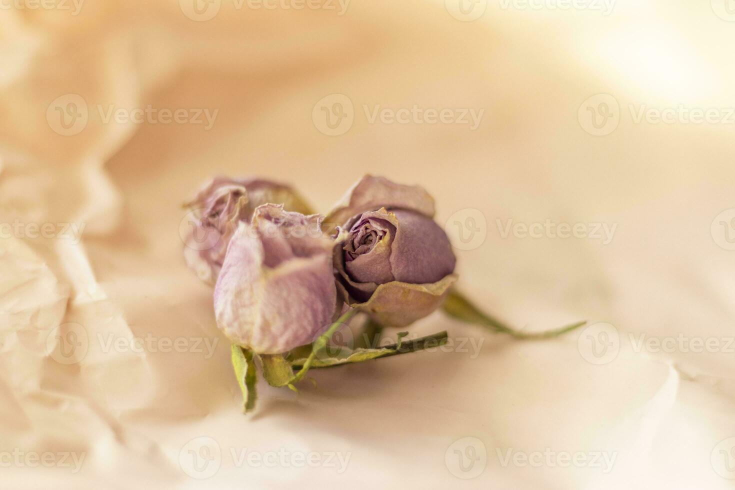 Concept shot of the background theme, wrapping paper, dried roses other flowers and other arrangements. Valentines day photo