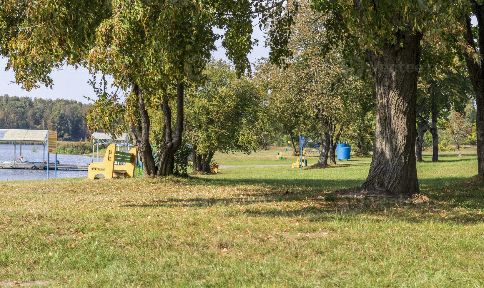 paisaje Disparo de el hermosa parque, al aire libre foto