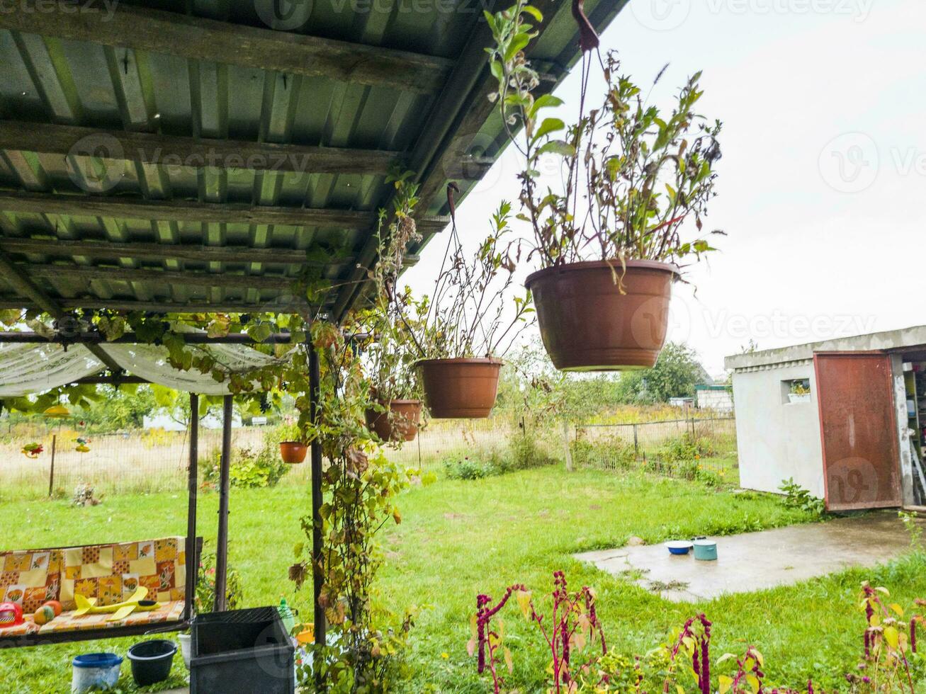 Concept shot of the outdoor garden flower pots. Concept photo