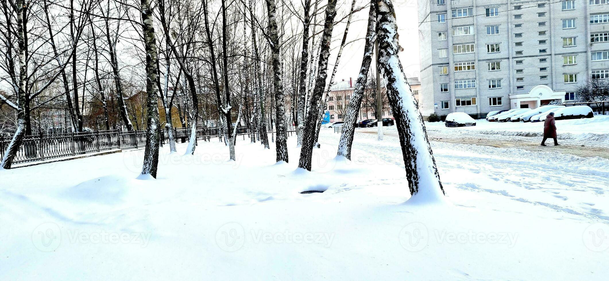 Landscape shot of the street on the winter day. Season photo