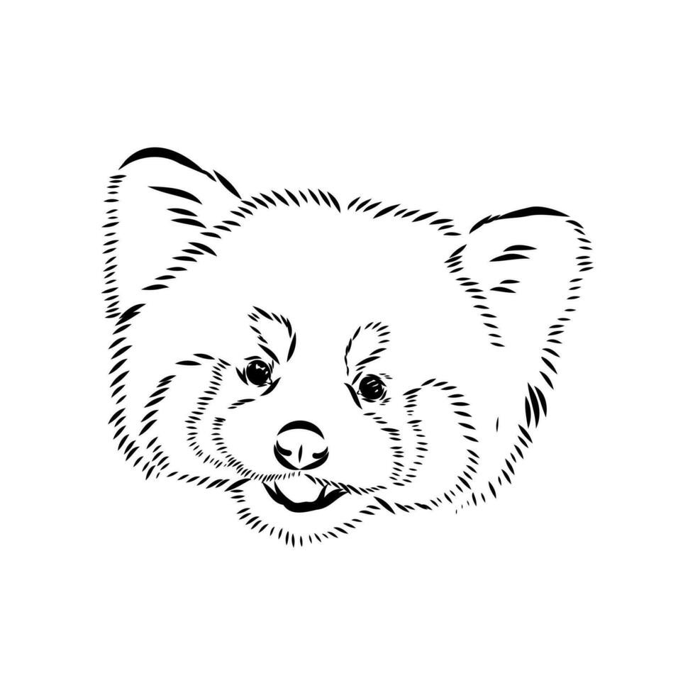 red panda vector sketch