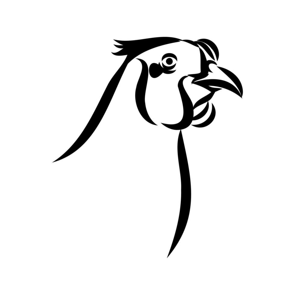 pheasant vector sketch