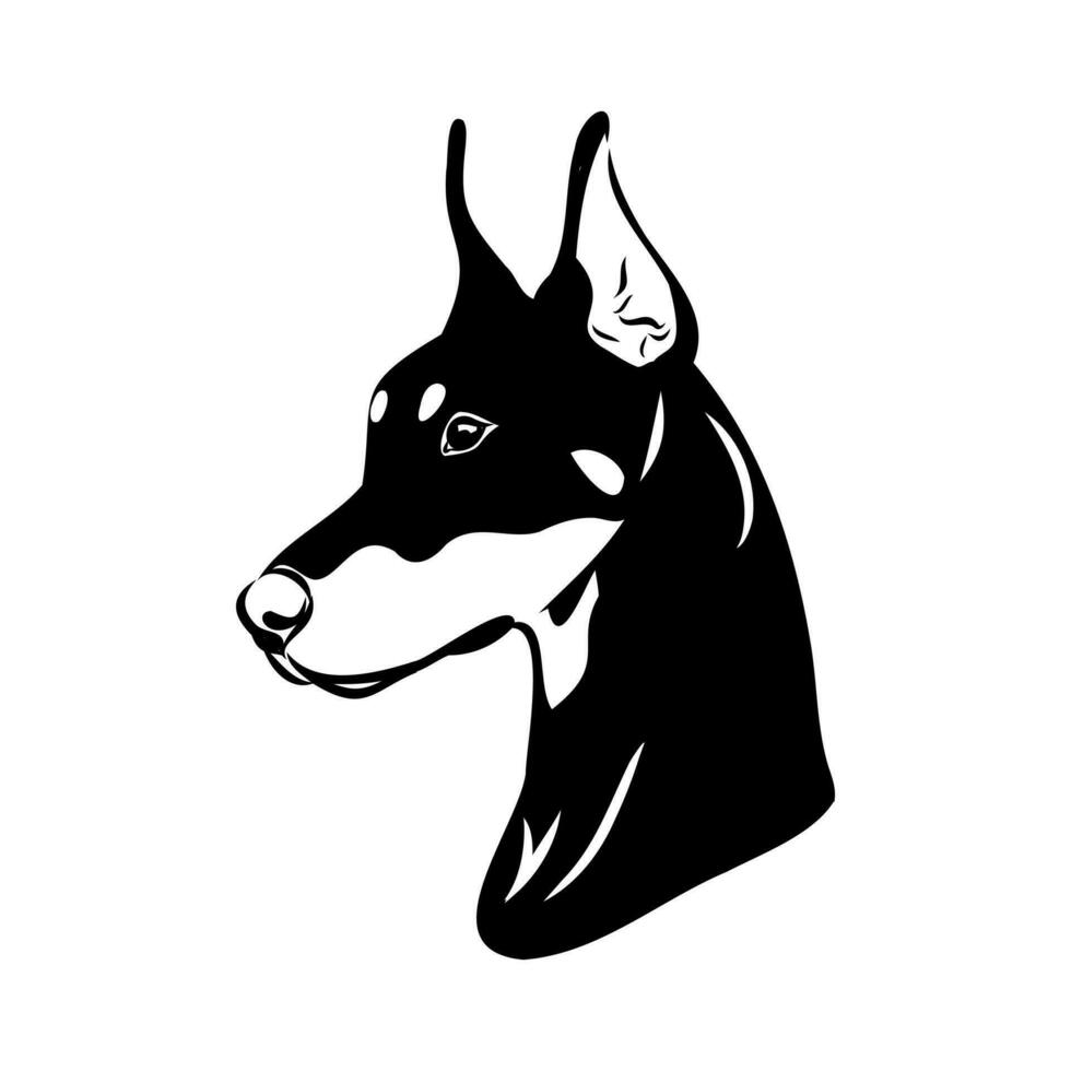 doberman dog vector sketch