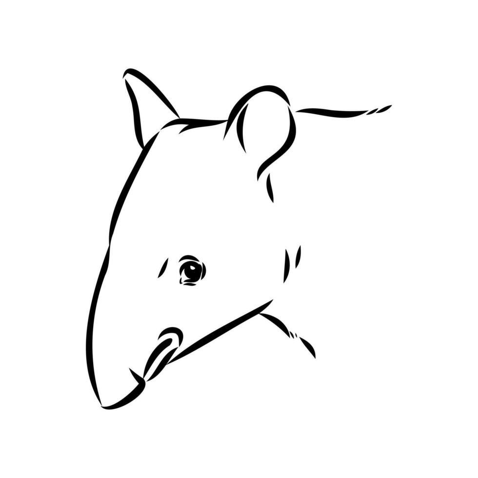 tapir vector sketch