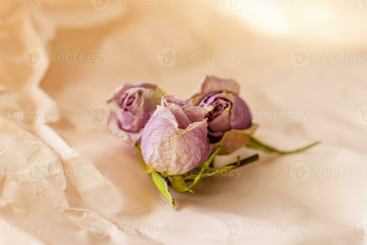 Concept shot of the background theme, wrapping paper, dried roses other flowers and other arrangements. Valentines day photo