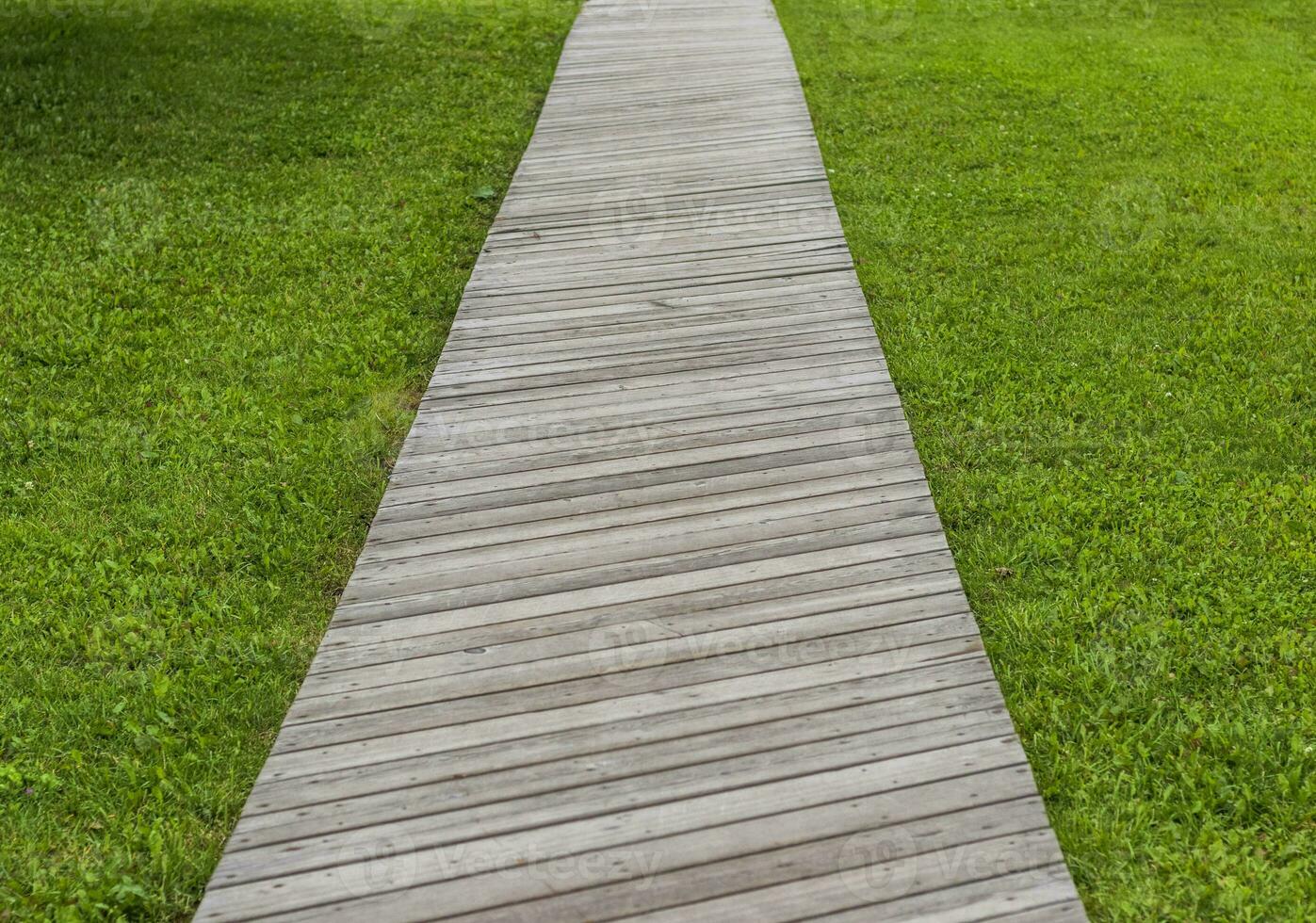 Concept shot of the wooden path laid on the green grass. Background photo