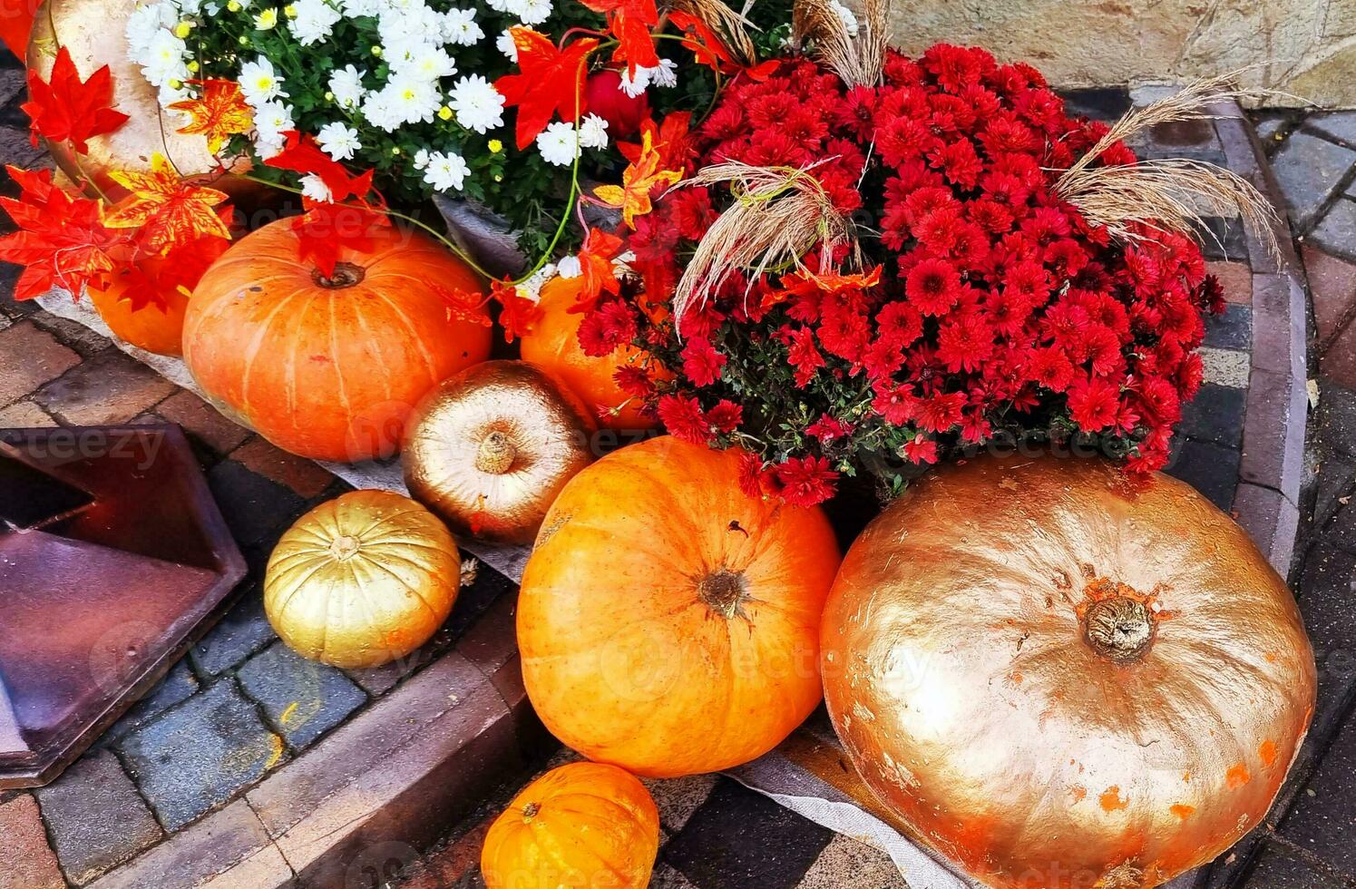 Close up shot of the Halloween decorations. Celebration photo