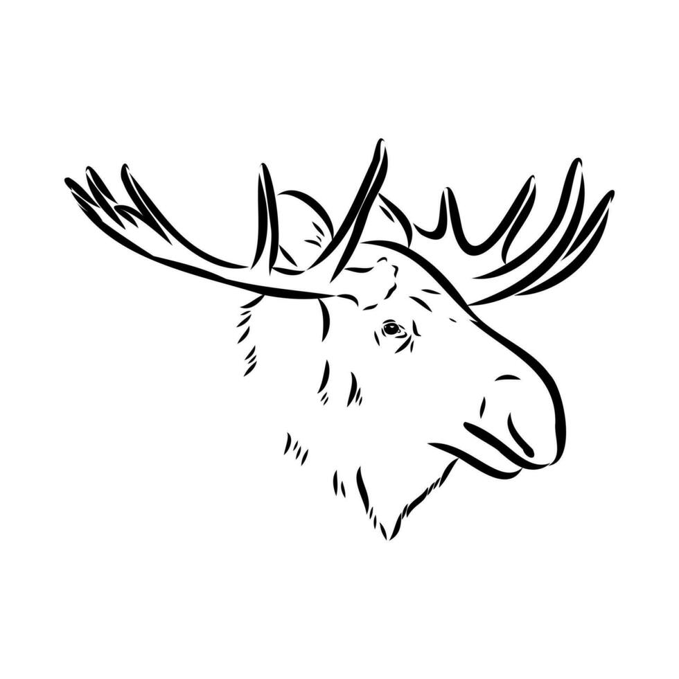 bosquejo del vector de los alces