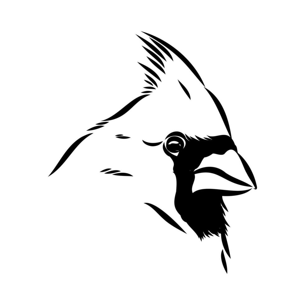 cardinal bird vector sketch