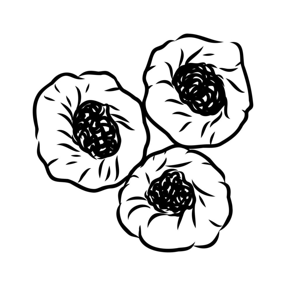 Tatar pie vector sketch