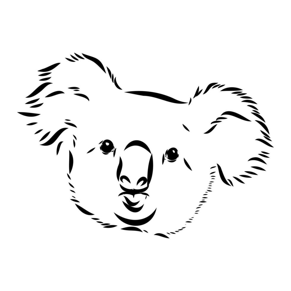 dibujo vectorial de koala vector