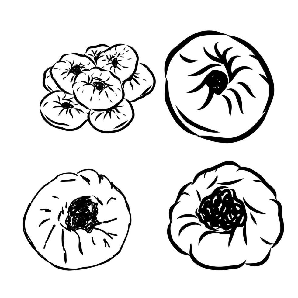 asian pie vector sketch