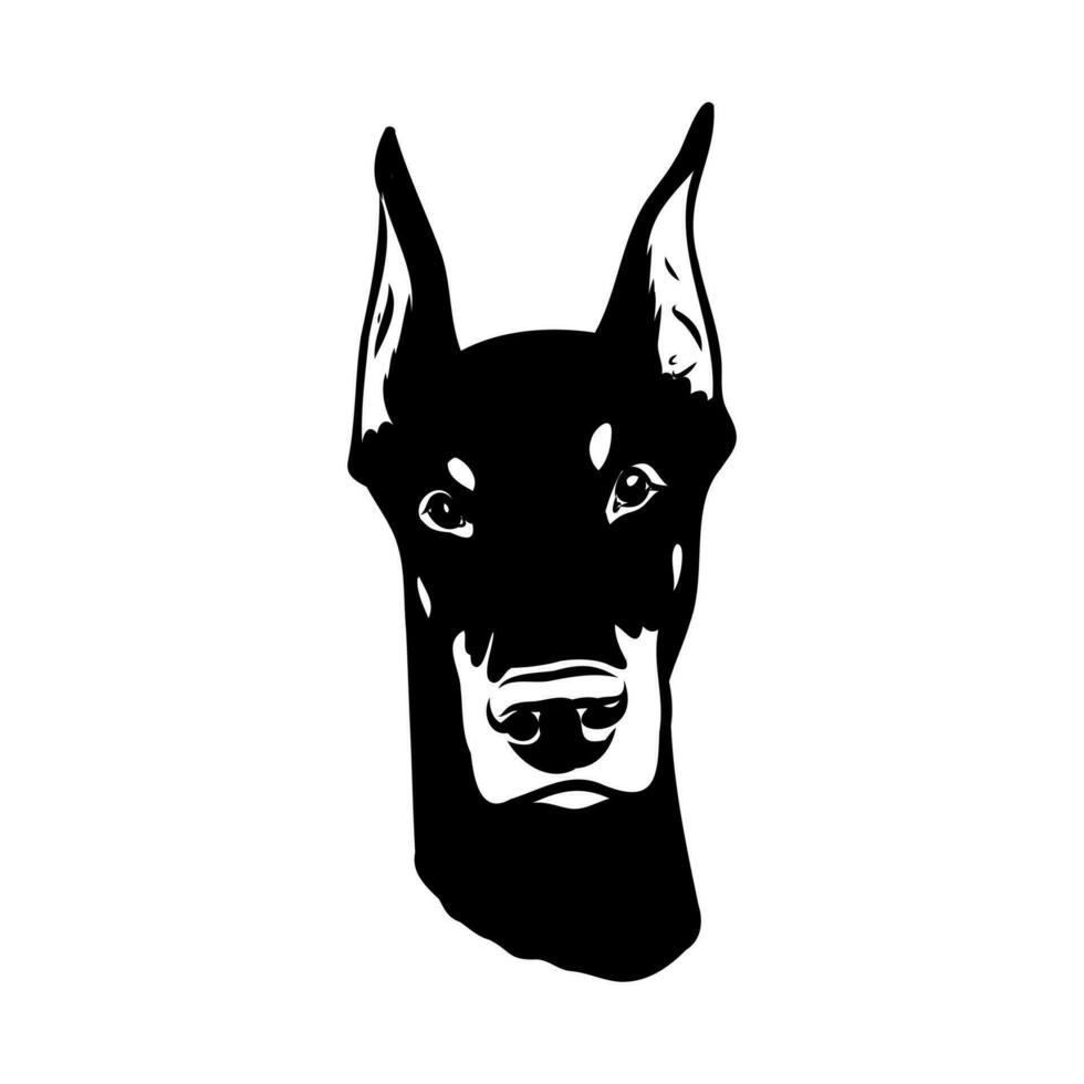 doberman dog vector sketch