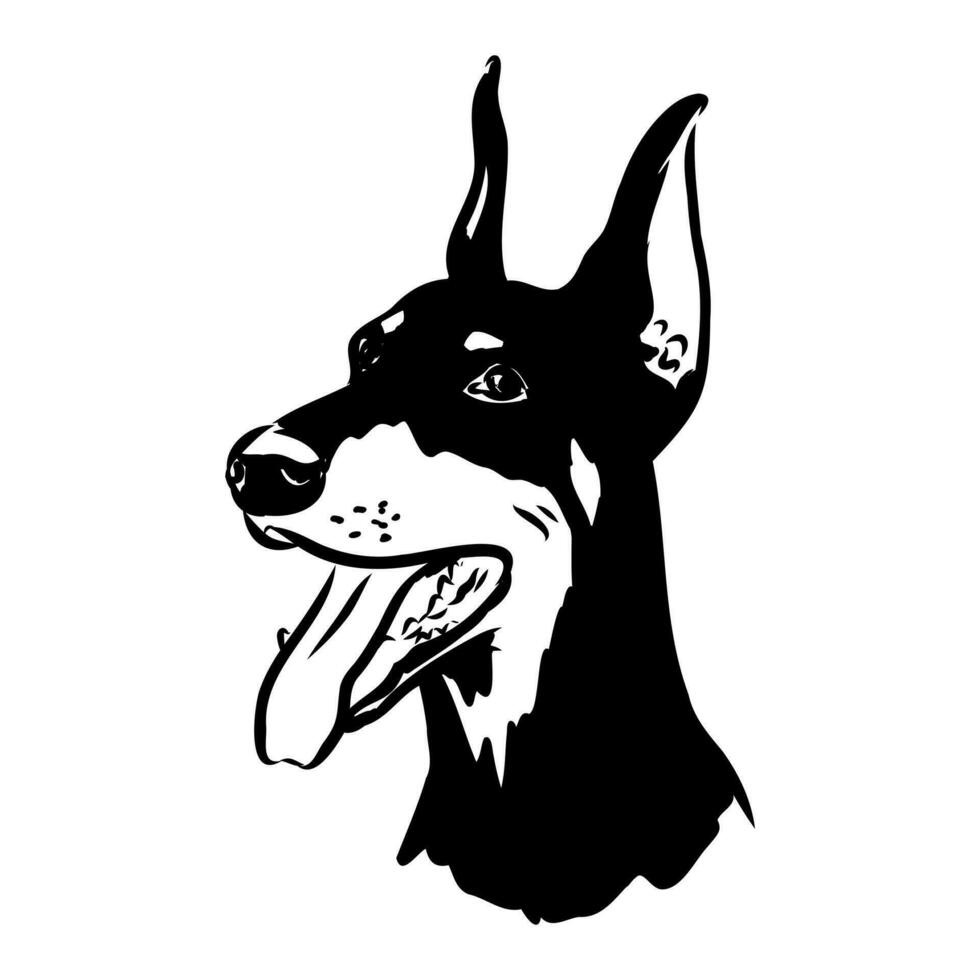 doberman dog vector sketch