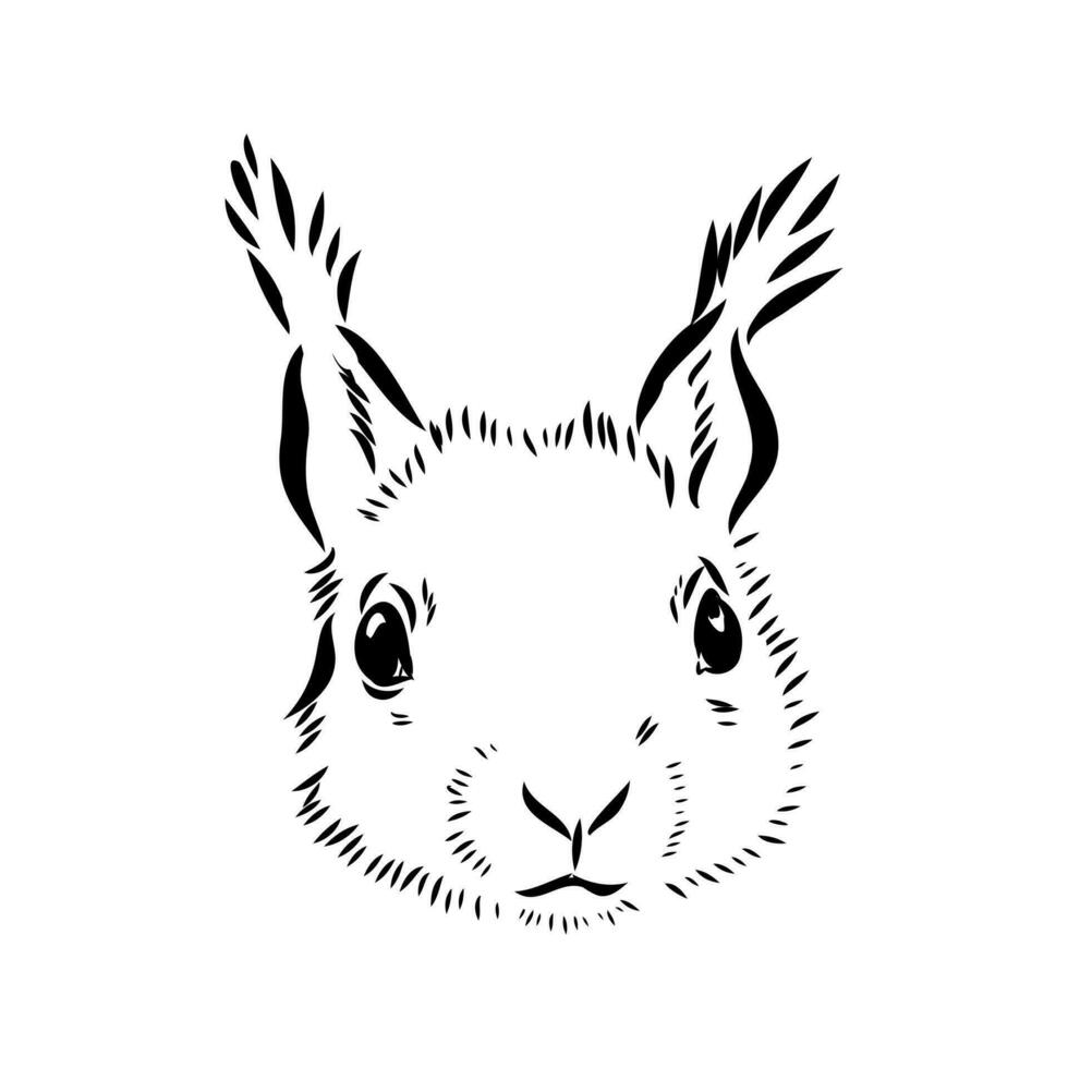 squirrel vector sketch