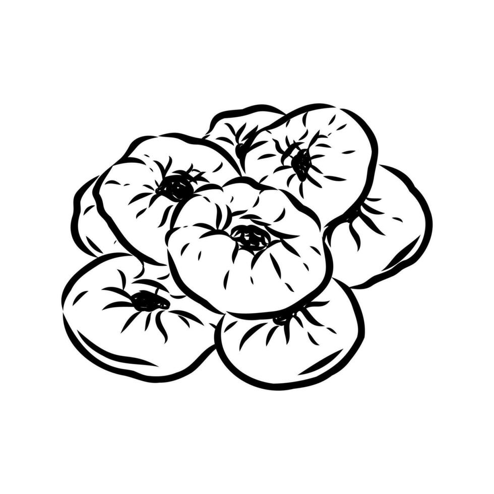 Tatar pie vector sketch