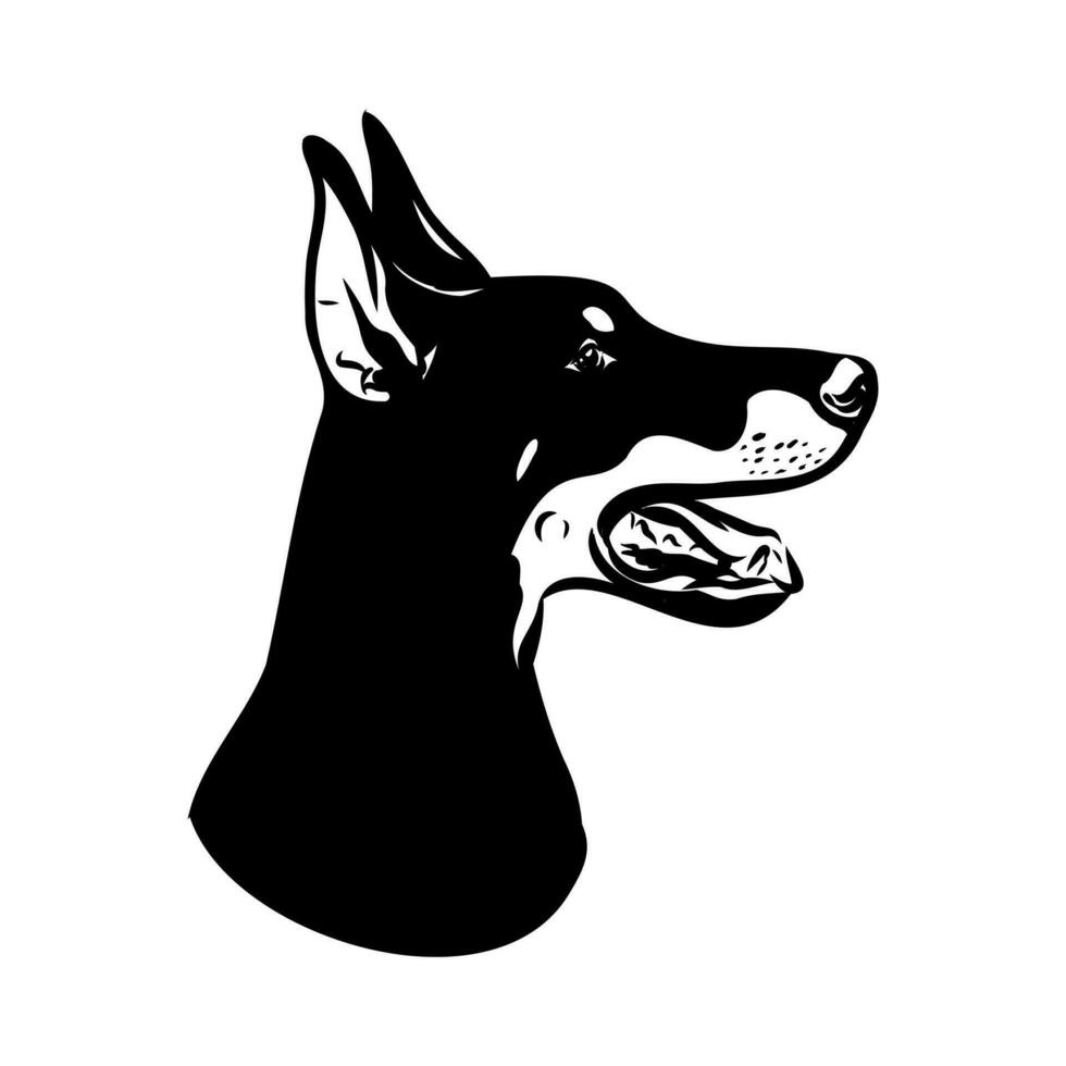 doberman dog vector sketch