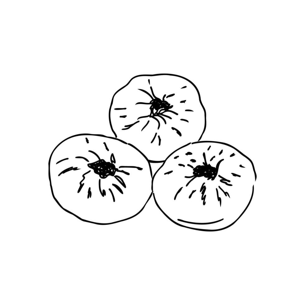 Tatar pie vector sketch