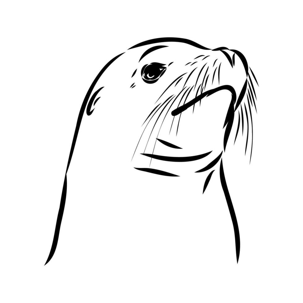 seal vector sketch