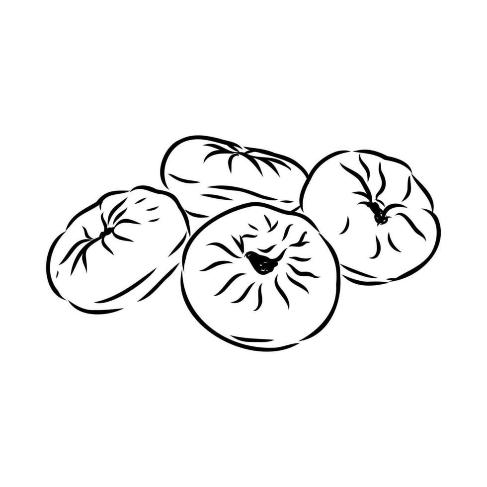 Tatar pie vector sketch