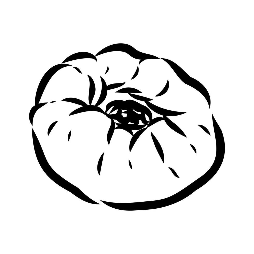Tatar pie vector sketch
