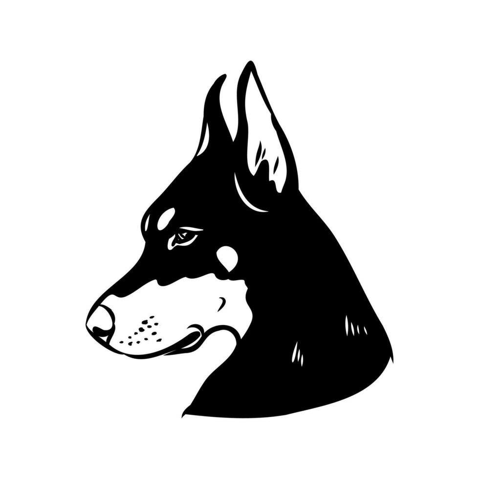 doberman dog vector sketch