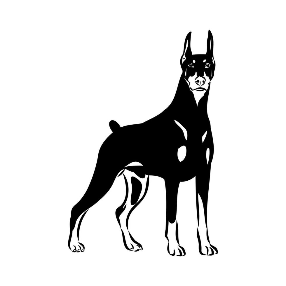 doberman dog vector sketch