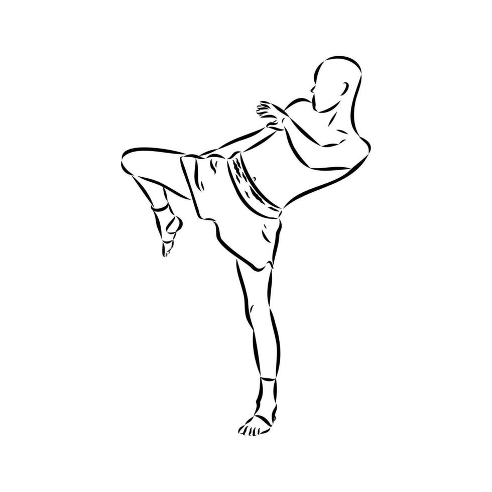 Thai boxing vector sketch