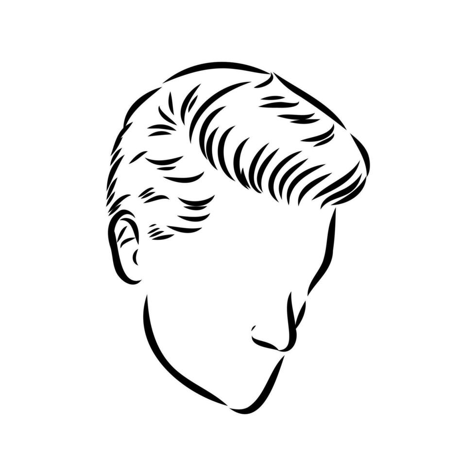 men's hairstyle vector sketch