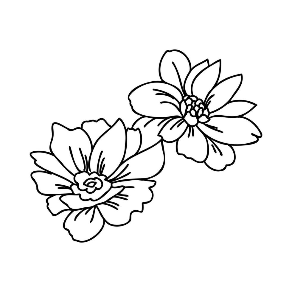 decorative flowers vector sketch