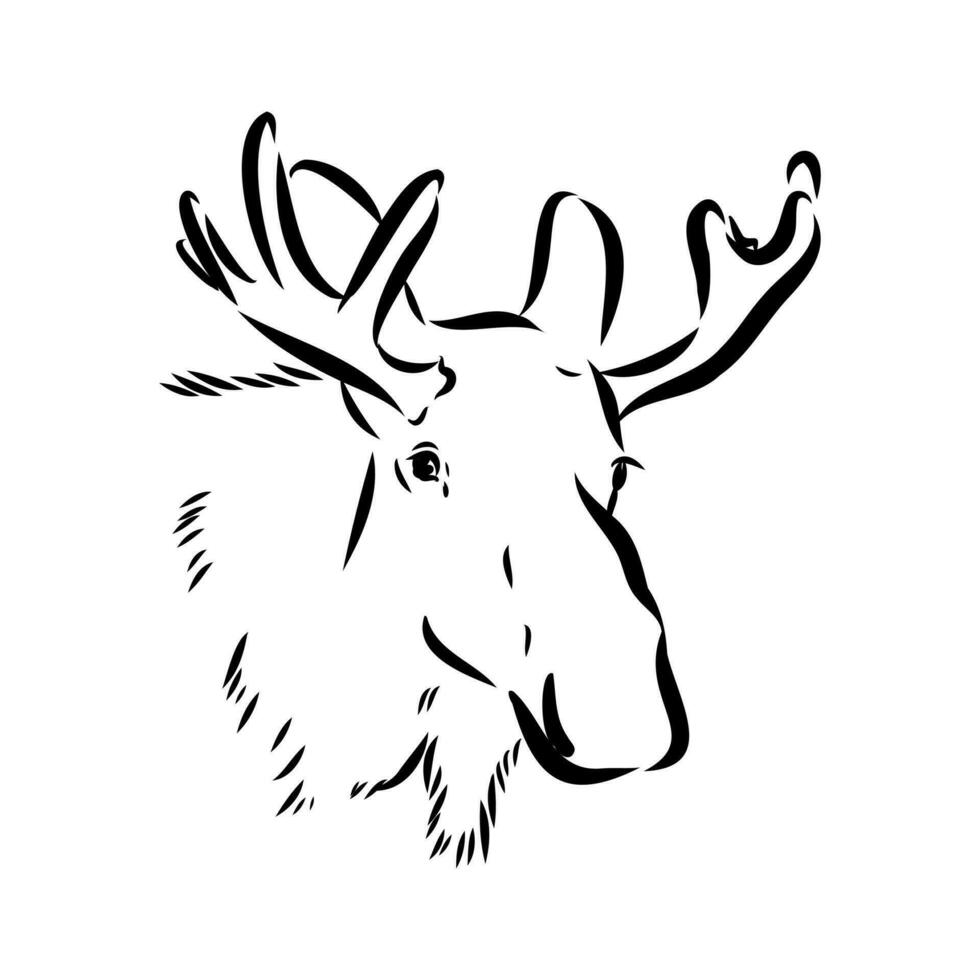 moose vector sketch