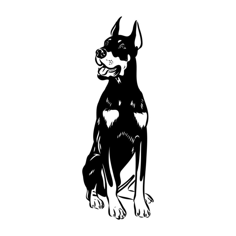 doberman dog vector sketch