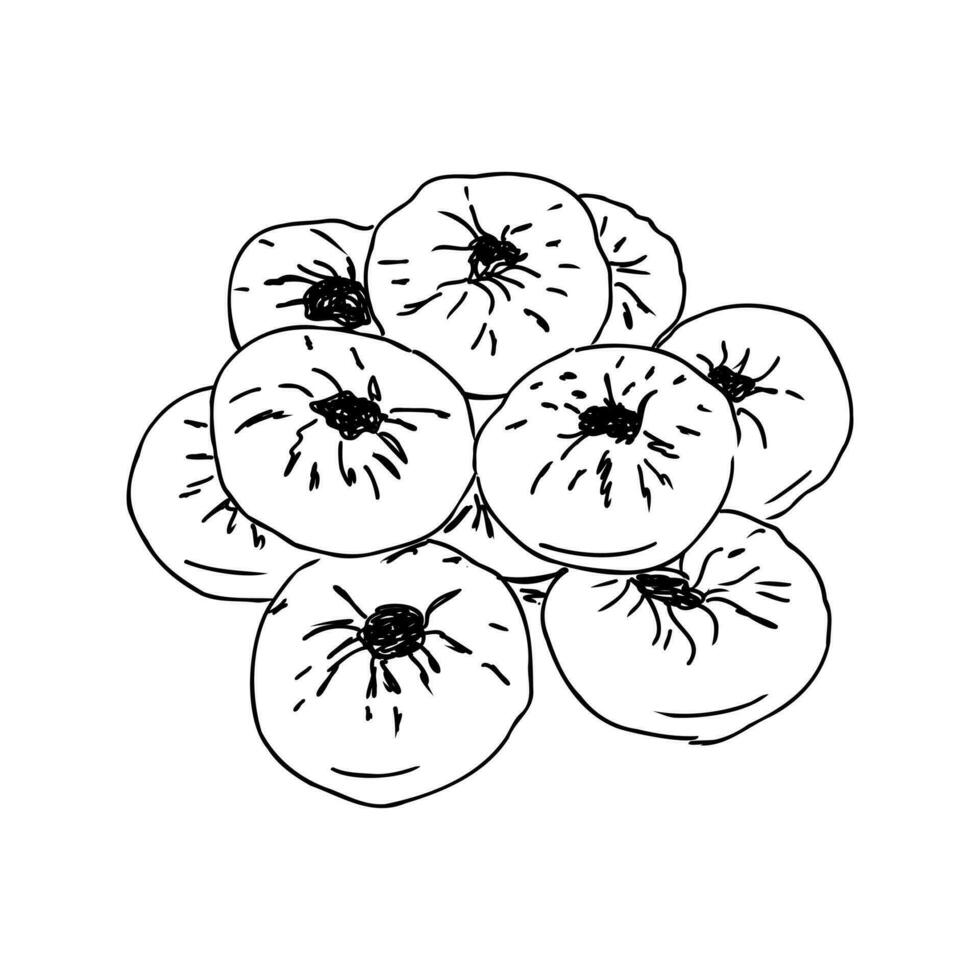Tatar pie vector sketch