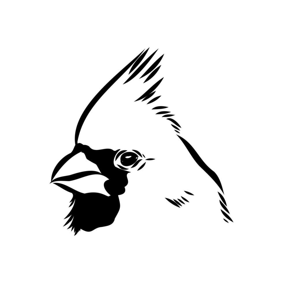 cardinal bird vector sketch