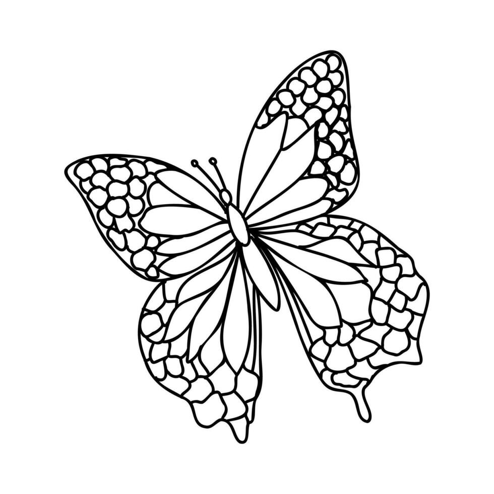 cartoon butterfly vector sketch