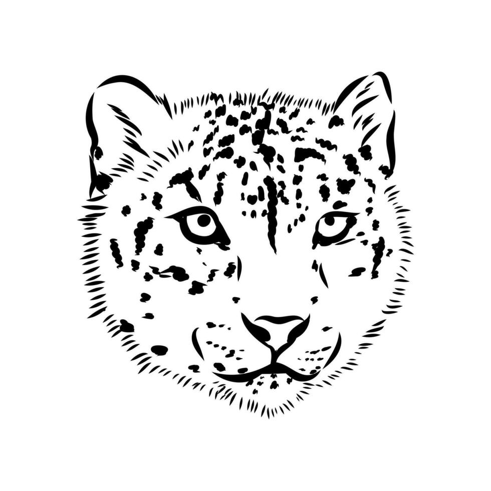 nieve leopardo vector bosquejo