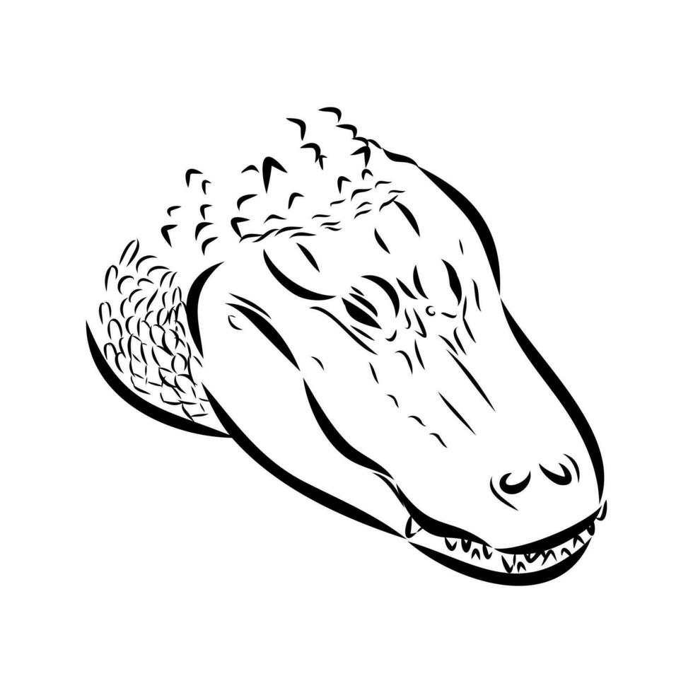 crocodile vector sketch