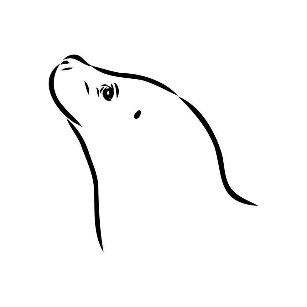 seal vector sketch