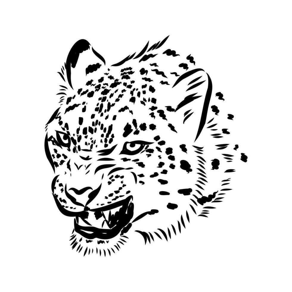 nieve leopardo vector bosquejo