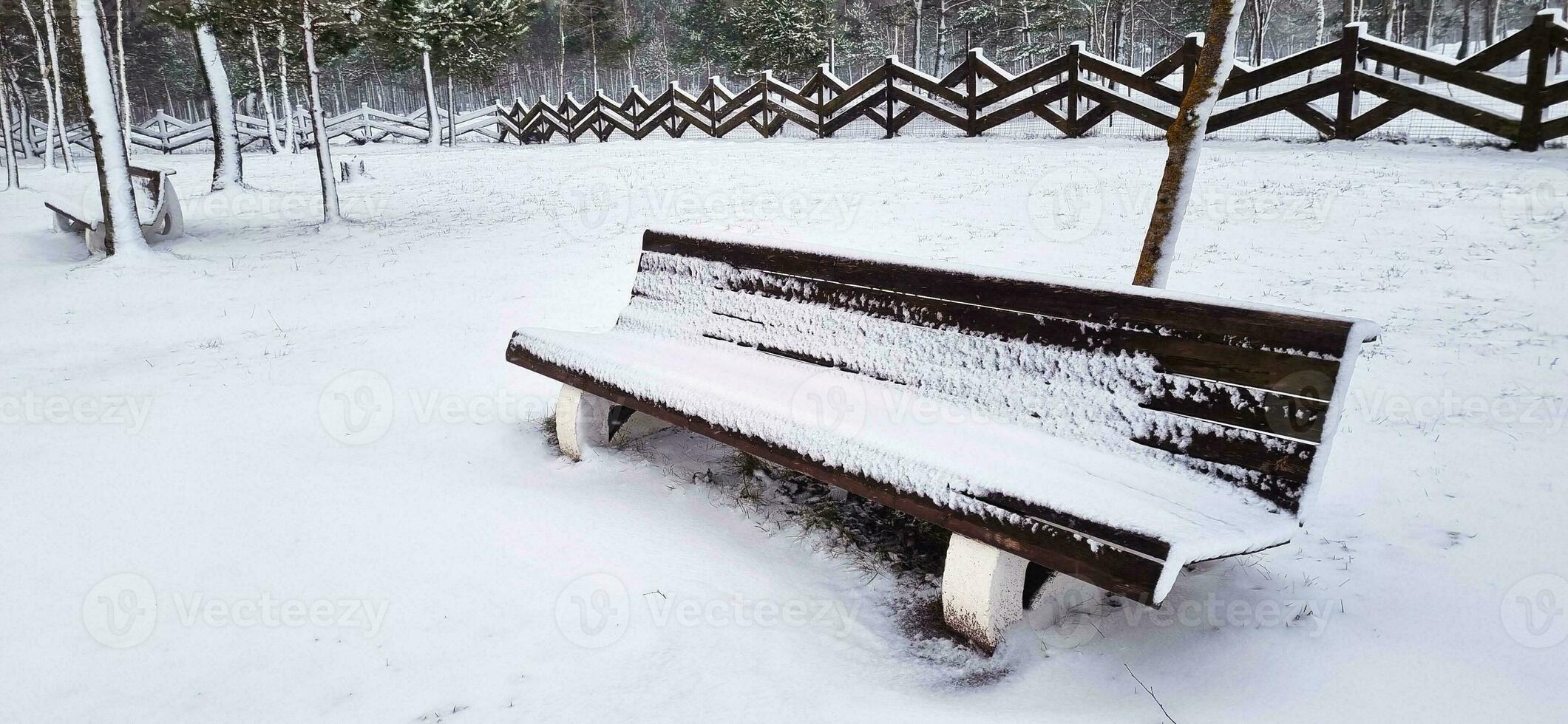 Disparo de el al aire libre invierno escena en el rural aldea. naturaleza foto