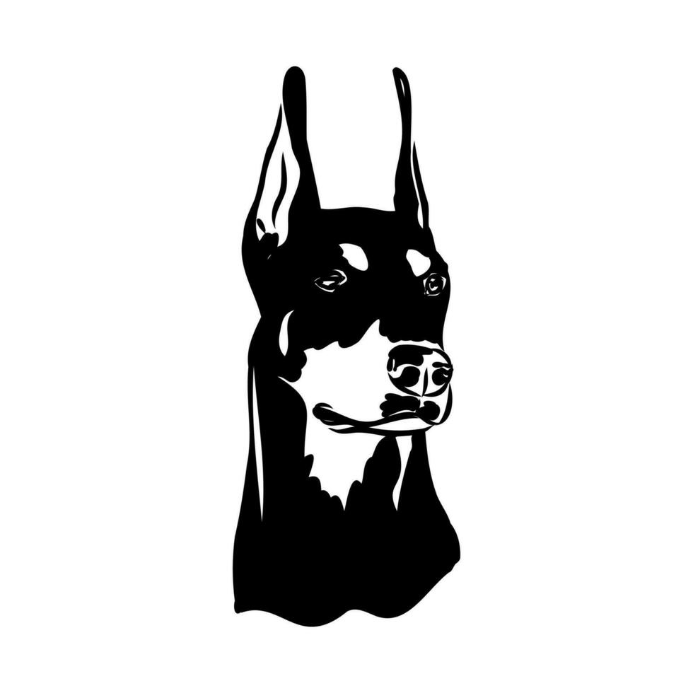 doberman dog vector sketch