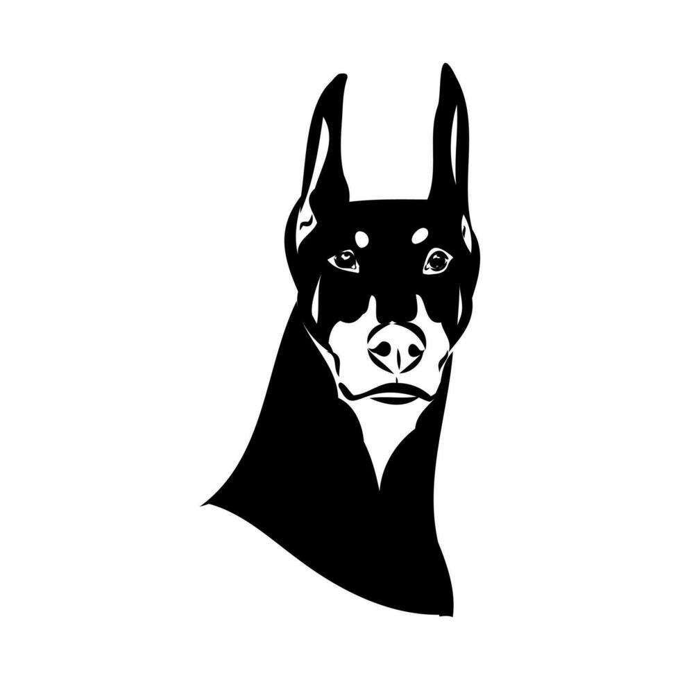 doberman dog vector sketch