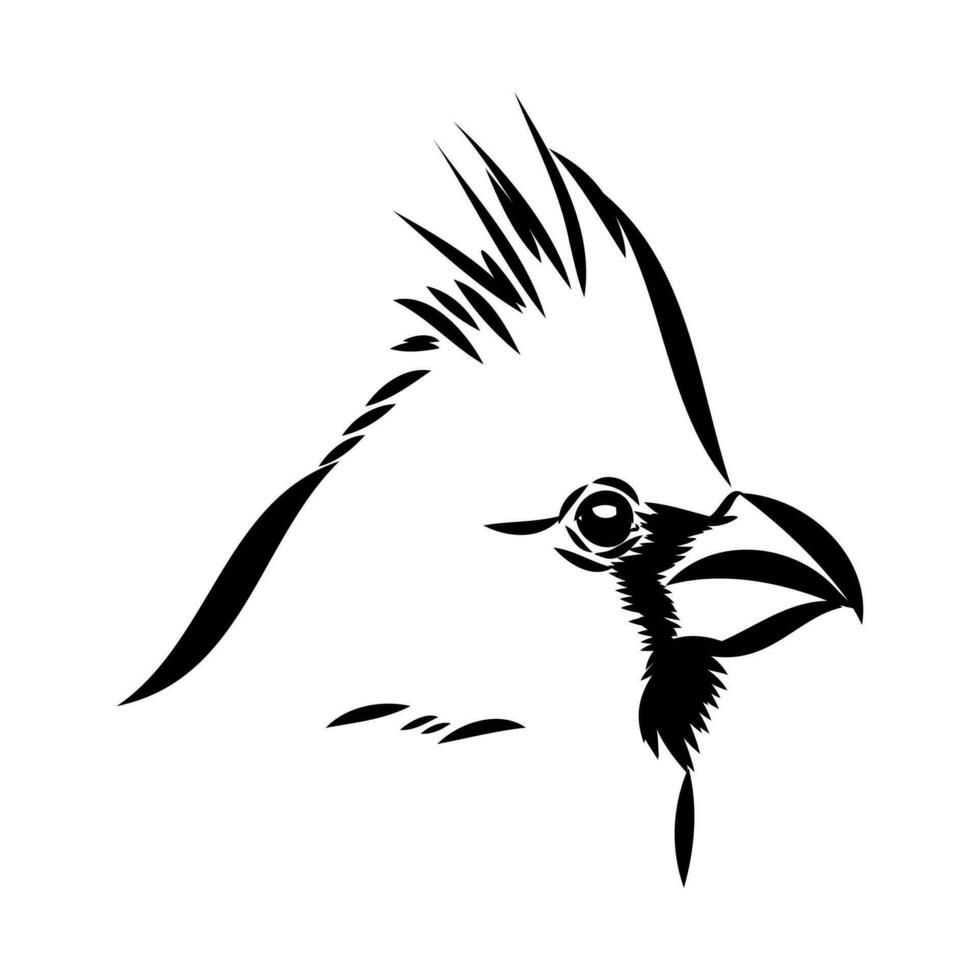 cardinal bird vector sketch