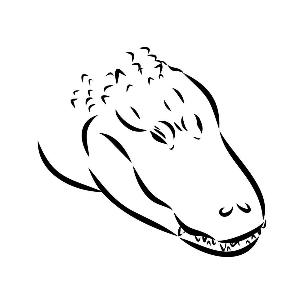 crocodile vector sketch