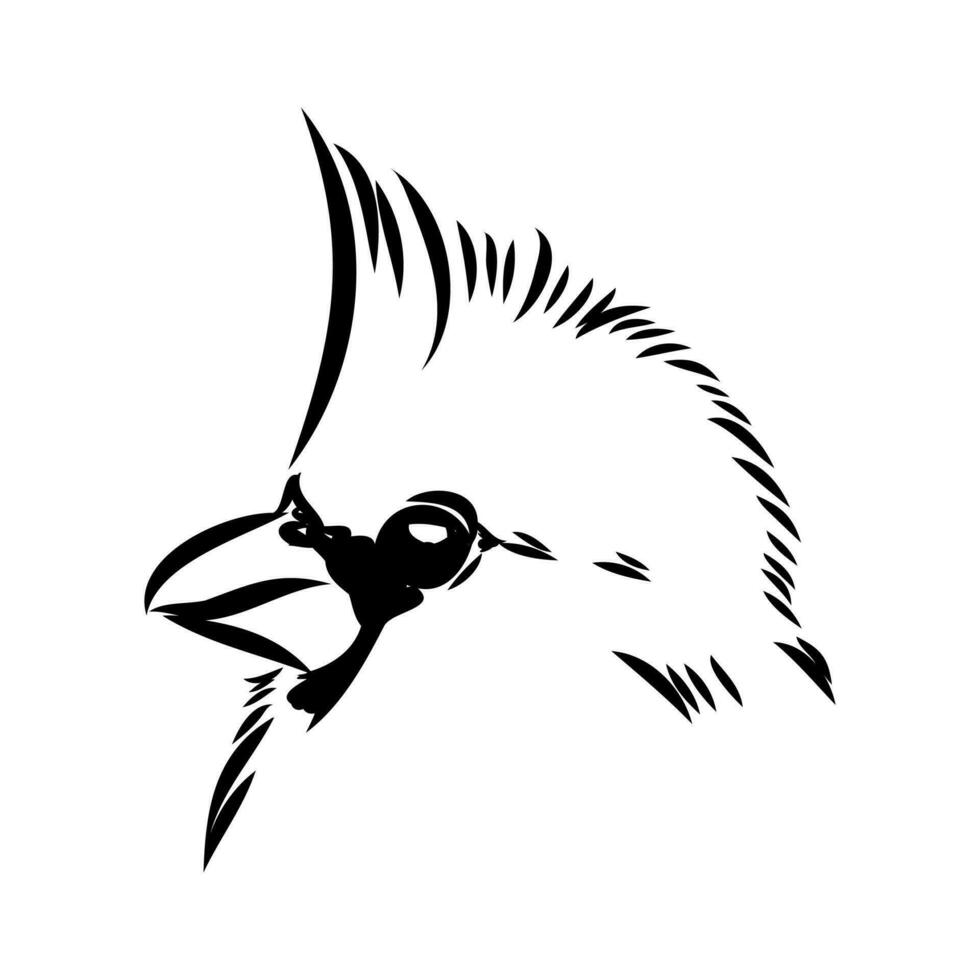 cardinal bird vector sketch